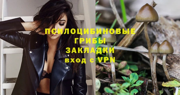 винт Кулебаки