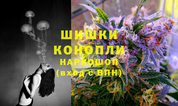 альфа пвп Куйбышев